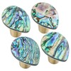 SUNYIK Pack of 4 Natural Abalone Shell Drawer Knobs with
