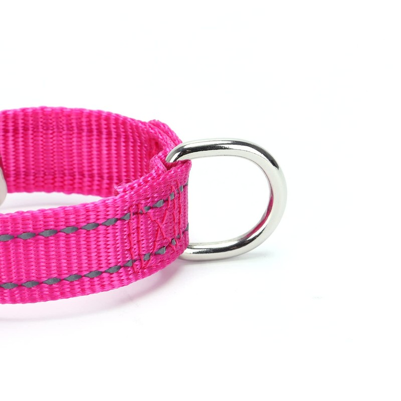 haoyueer Martingale Dog Collars - Reflective Dog Collar with Quick