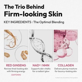 FromCella - Suero reafirmante de colágeno coreano – Ginseng rojo y suero facial antienvejecimiento complejo de 6 péptidos, ayuda a reafirmar, esculpir
