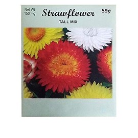 Set of 50 Flower Seed Packets! Flower Seeds in Bulk (50, Strawflower)