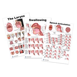 Anatomy Posters for SLP (Larynx, Swallowing, Speech Articulation 24x36)