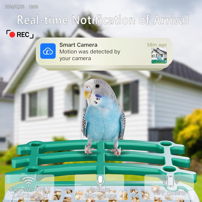 Smart Bird Feeder with Camera Solar Powered, 2.5K HD AI