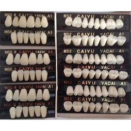 JSP Polymer Resin Denture Teeth 2 Layers 12 Cards 3 Sets 84 Teeth Size 5 Color a2