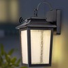 LED Dusk to Dawn Outdoor Wall Lantern with Sensor -