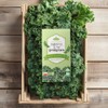 FromBio Organic Freeze-Dried Curly Kale Powder 100% 15 sachets (2g)