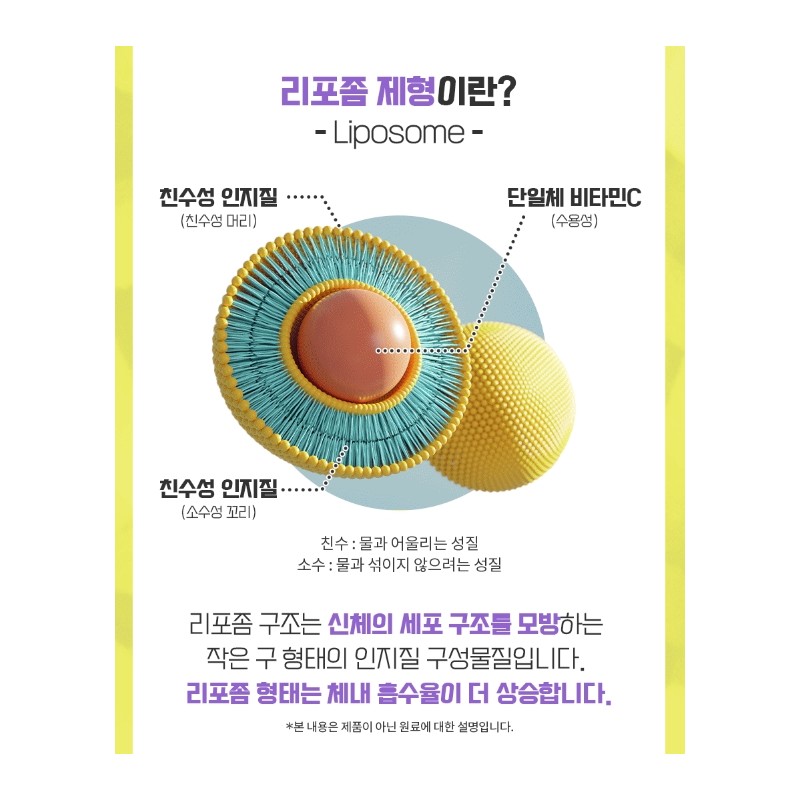 Bifidus colon lactic acid bacteria, good for the intestines, 2