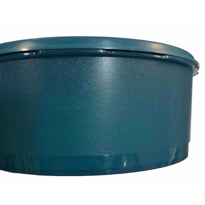 Tupperware Servalier Canister Stacking Cookie One Touch Seal Teal Mint