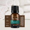 SpaRoom Aromatherapy 100% Pure Undiluted Essential Oil, Purify Tea Tree,
