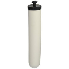 Doulton Ultracarb 10" Water Filter Candle, 2-pack (W9123053)