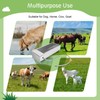 Stainless Steel Cattle Drinking Bowl, Horse Cattle Drinker, Automatic Drinking