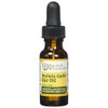 Equinox Botanicals Mullein Garlic Ear Oil .5 oz