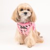 Puppia Dog Harness for small and medium dogs - ARDEN