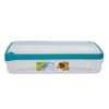 Whitefurze Rectangular Seal Tight Container, Plastic, Teal, 3 Litre
