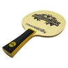 Angel Strike Paddle Bundle (Includes Hard Case & 6 Balls)