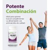 Suplemento Cápsula Hemagic Aminoácidos Belnics 520mg