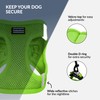 CollarDirect Step-in Reflective Dog Harness - Any Weather Air Mesh