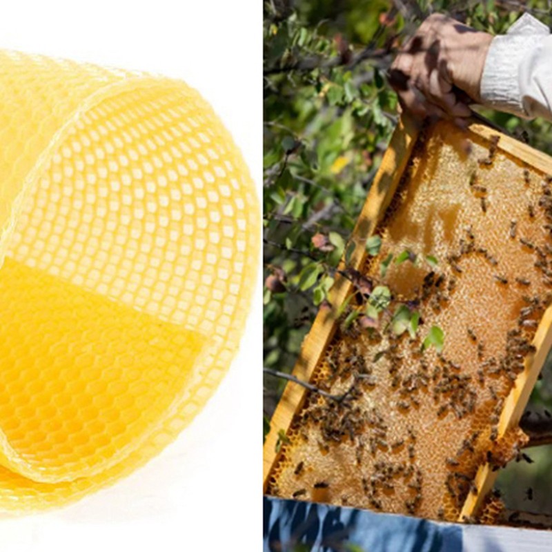 10Pcs Beeswax Sheets for Candle Making Natural Beeswax Honeycomb Foundation