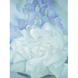 White Rose with Larkspur No. 2 1927 by Georgia O'Keeffe Flower Floral Nature Print Poster, Overall Size: 11x14, Image Size: 8.25x11.25