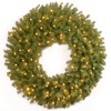 National Tree Company Pre-lit Artificial Christmas Wreath | Includes Pre-strung