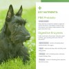 SensoVet Probiotic Chews for Dogs + Advanced Prebiotic Enzymes |