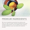 Integrative Therapeutics Integrative Therapeutics - Similase - Physician Developed Digestive