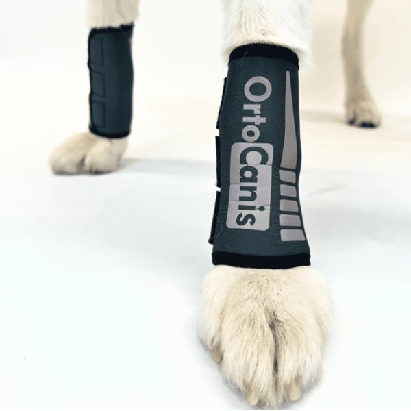 Ortocanis - Carpal Joint Support for Dogs with Osteoarthritis, Ligament