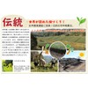 Kakegawa Deep Mushi Special Sencha Tea 3.5 oz (100 g)
