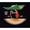 Fujimoto Style Far Infrared Care Supporter for Calves, 2 Pieces,