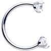 BODY CANDY BODY JEWELRY Double Gem Titanium Horseshoe Nose Ring