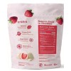 Tru Fru Creme Covered Hyper-Dried Fresh Strawberries 16oz.