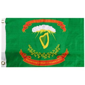 Trade Winds 69th Regiment Irish Brigade Premium Quality Heavy Duty Fade Resistant 100D Woven Poly Nylon 12x18 12"x18" Boat Flag Banner Grommets