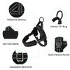 Eyein No Pull Small Dog Harness & Lead, Heavy Duty