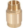 One Way Brass Check Valve, 1" NPT male in/ 1"