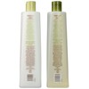 Trader Joe's Tea Tree Tingle Shampoo & Conditioner, 16 oz.