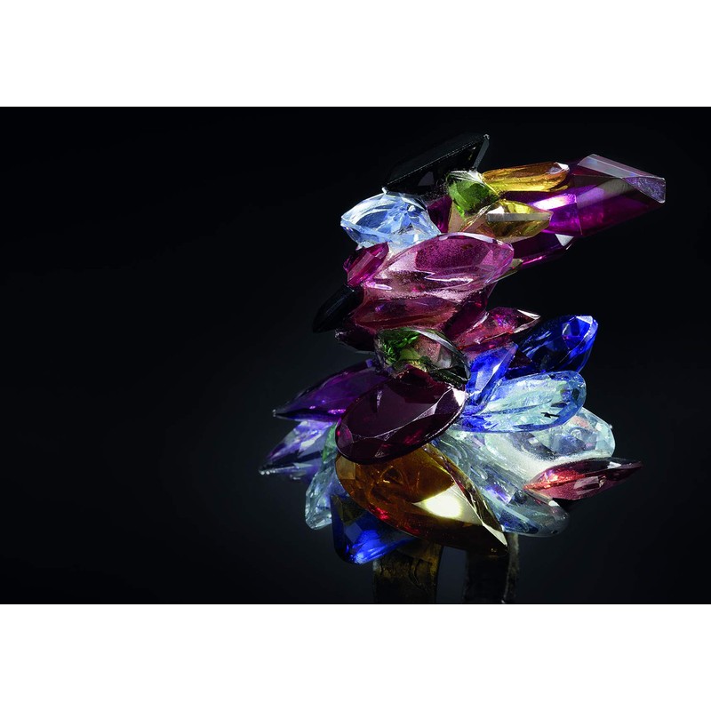 Karl Fritsch: Ruby Gold