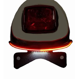Bikelitez fits the 2002-2005 Harley V-Rod Fender eliminator SMOKED