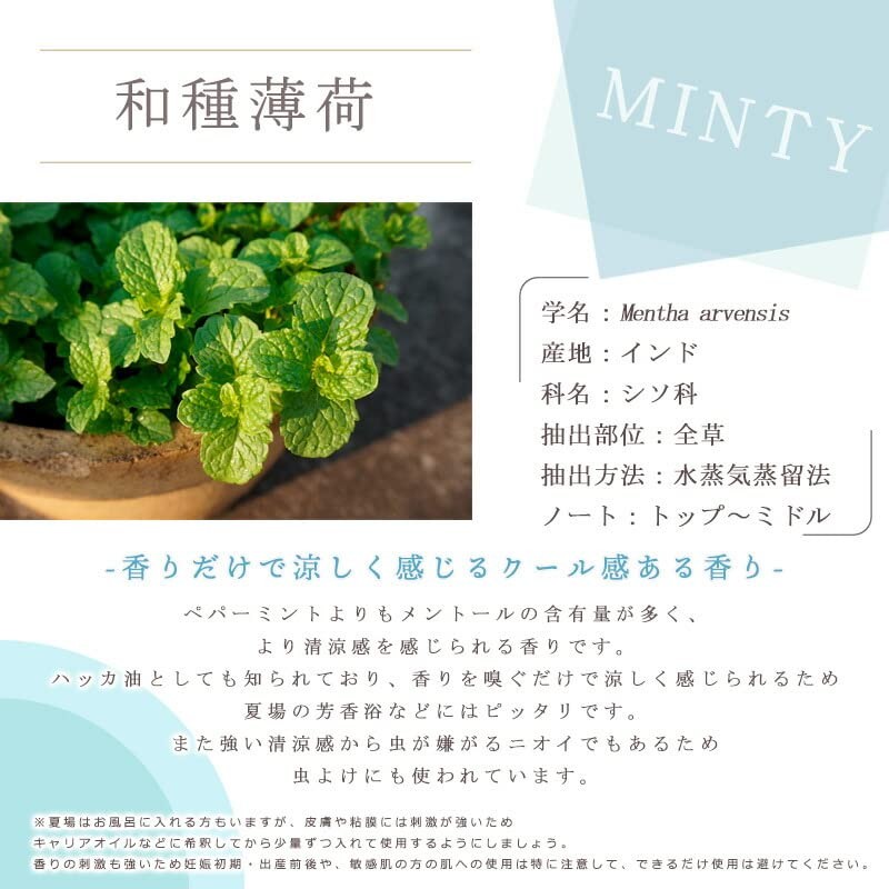 Japanese Type Thin Goods (Peppermint Oil) 0.3 fl oz (10