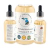 Stajcar Stoneworks LLC Shiitake Mushroom Tincture, 2 fl. Oz, Alcohol-Based