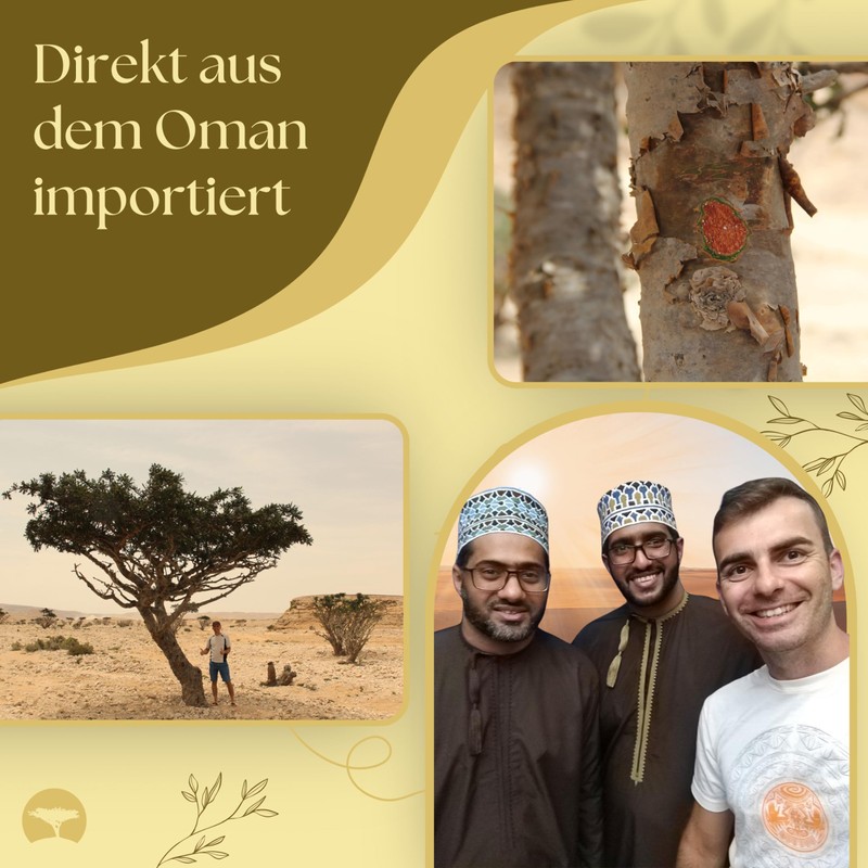 Frankincense and Myrrh from Oman – Set of 5