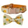 Love Dream Dog Collar with Bow Tie, Soft and Comfy