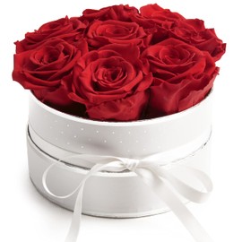 ROSEMARIE SCHULZ Heidelberg Infinity Rose Box Round - Flower Box 8 Real Roses Durable 3 Years Diameter 15 cm - Gift for Women (Medium, White/Red)