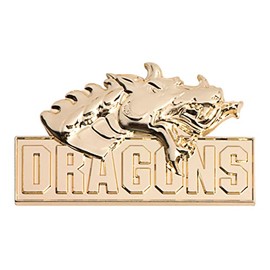 Anderson's 3D Molded Gold Dragons School Mascot Lapel Pin Pack, Set of 25, School Spirit, Awards