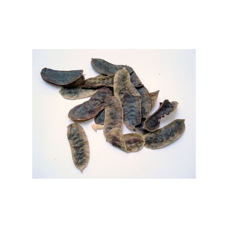 100% Pure Senna Laxative Senna Extract (Senna Alexandrina) Detox Tea
