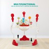 Dream On Me Zany 2-in-1 Baby Activity Center and Bouncer
