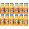 BEEQ BOX - Pack of 12 SunnyD Tangy Original Orange