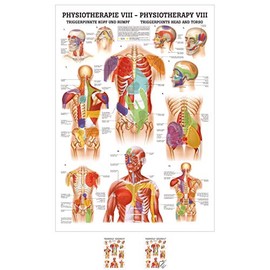 Sport-Tec Trigger Points Head and Body Mini Poster Anatomy 34 x 24 cm
