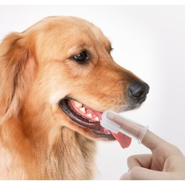 Auaoalay 10 Pack Dog Tooth Brushing Kit, Small Dog Toothbrush Cat Toothbrush, Finger Toothbrush for Dogs, Puppy Toothbrush for Dog Teeth Cleaning & Dental Care, Pet Toothbrush for Dogs Small Breed