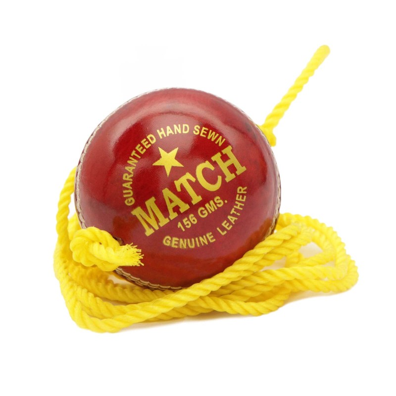 PSE Leather Practice Hanging Cricket Ball, Size Standard, (Red)