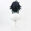 Rai Inami Cosplay Wig, Short Wig, Cosplay Wig with Dedicated