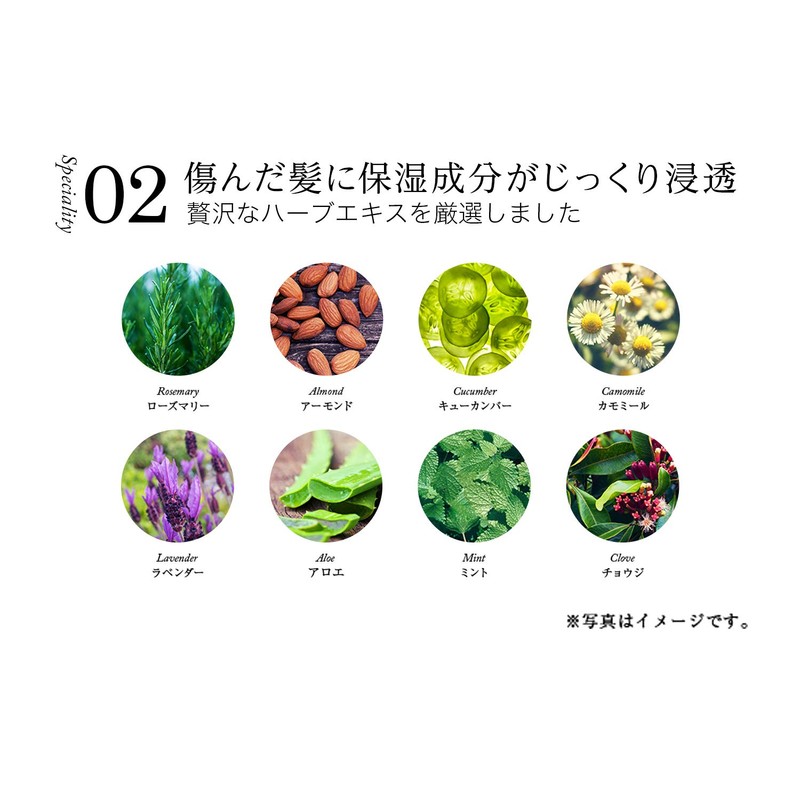 WEN Cleansing Conditioner, Lavender, 16.2 fl oz (480 ml) (Shampoo,